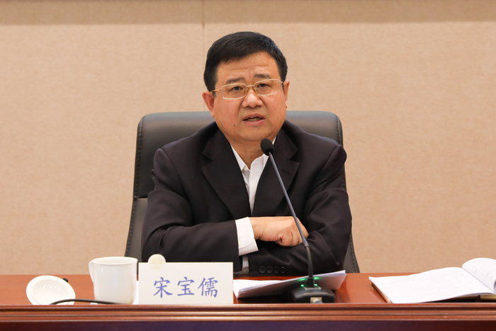 宋寶儒書記講話
