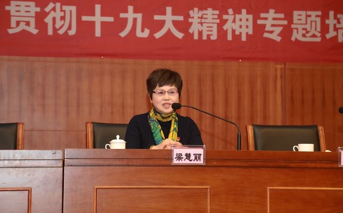 上海市黨的十九大代表、普陀區桃浦鎮社區黨委副書記、蓮花公寓居民區黨總支書記梁慧麗作輔導報告